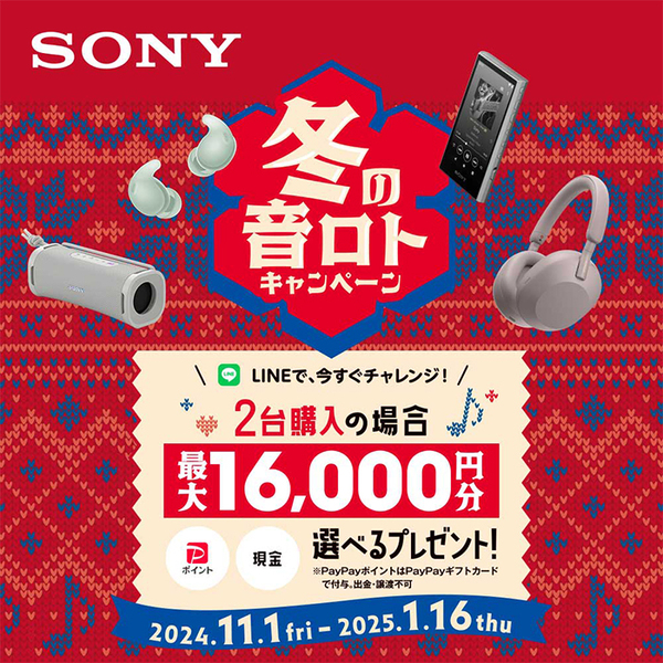 SONY ソニー NW-S315【～2025/1/16まで！ 応募、抽選でキャッシュバックキャンペーン！】 ビビットピンク / e☆イヤホン