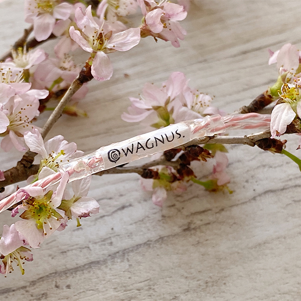 WAGNUS. ワグナス Sakura Lily 4.4mm5極 MMCX type / e☆イヤホン