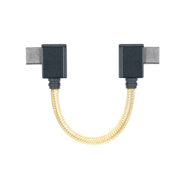 iFi-Audio アイファイ・オーディオ Type-C Cable(L型USB-C) / e☆イヤホン