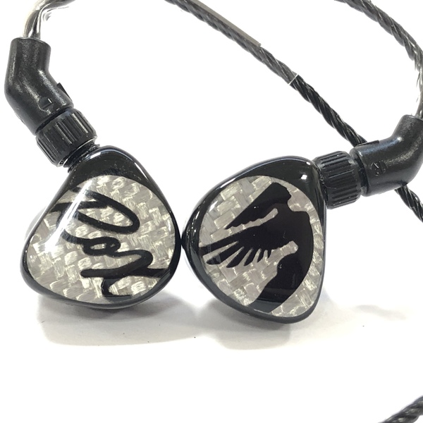 ジャンク品】JH Audio Roxanne カスタムIEM www.bvmpp.com