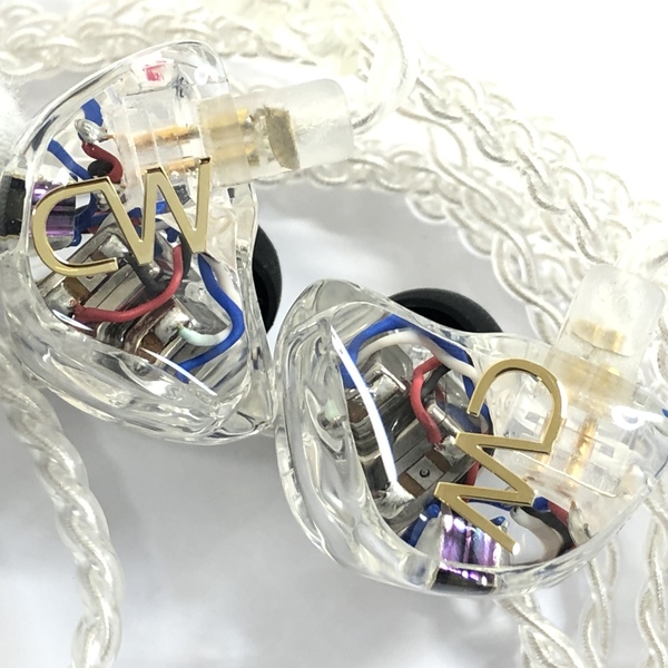 正規店仕入れの IEM vivazsolucoes.com.br canal works 美品】カナル