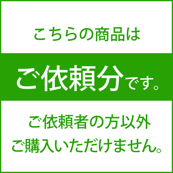 Campfire Audio キャンプファイヤー オーディオ 【ご依頼分】【中古