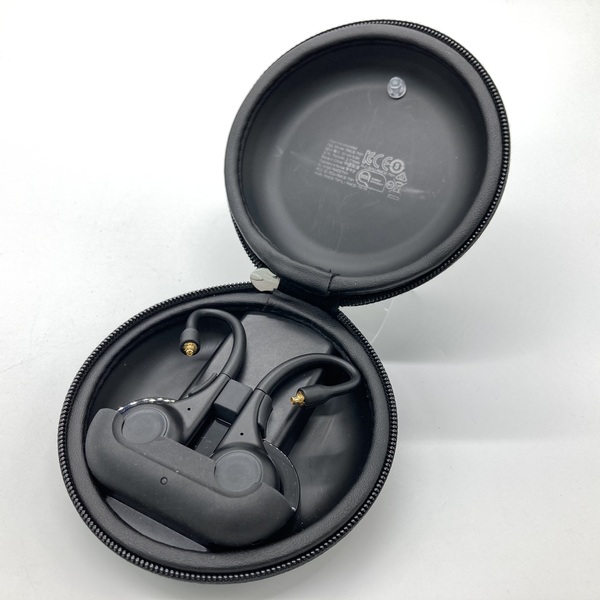 ジャンク shure rmce-tw2 - イヤホン