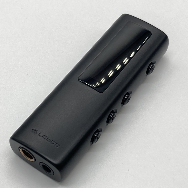 Cayin カイン RU6・Discrete R2R ポータブルUSB DAC/AMP / e☆イヤホン