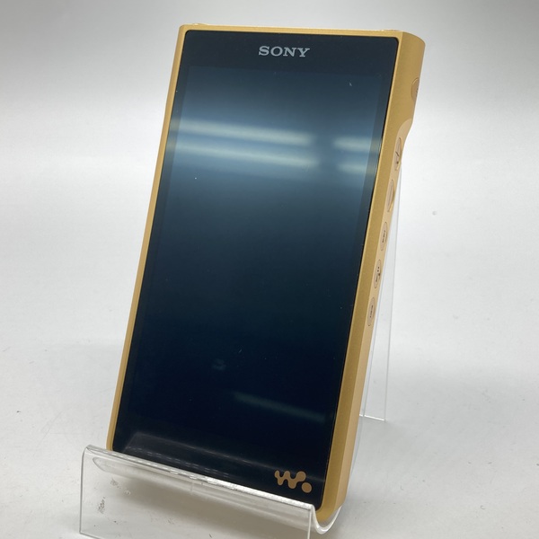 SONY ソニー NW-WM1ZM2 / e イヤホン