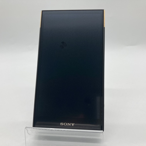 SONY ソニー NW-ZX707 C / e イヤホン