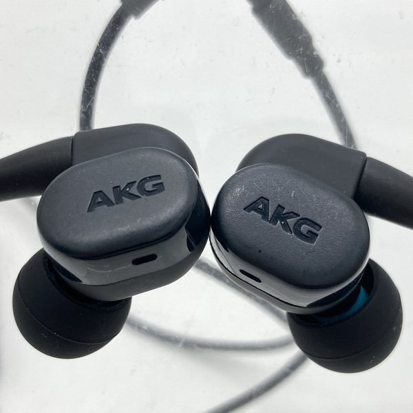 akg n30 セール eイヤホン